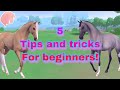 5 TIPS AND TRICKS YOU NEED TO KNOW IF YOU ARE NEW TO EQUESTRIAN THE GAME!