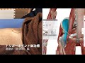 腸腰筋（腸骨筋）のトリガーポイント鍼治療！ぎっくり腰、ヘルニア編