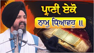 ਪ੍ਰਾਣੀ ਏਕੋ ਨਾਮੁ ਧਿਆਵਹੁ ॥ | Bhai Sarbjit Singh Dhunda | ssdhunda