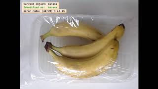 Fruit classification using Deep Learning