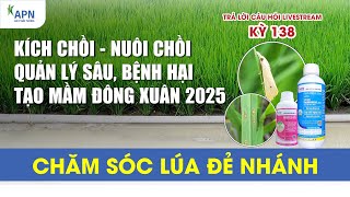 APN - TRẢ LỜI CÂU HỎI LIVESTREAM KỲ 138 | KÍCH CHỒI - DỊCH HẠI - TẠO MẦM ĐÔNG XUÂN 2025