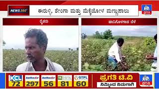 ಮಳೆಯ ಹೊಡೆತಕ್ಕೆ ನೆಲ ಕಚ್ಚಿದ ಬೆಳೆ | Pragathi TV