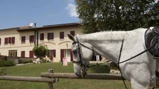 Agriturismo Nonna Maria - Montebelluna - Italy