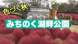 【宮城観光】柴田郡川崎町の国営みちのく杜の湖畔公園へ。寅次郎当てクイズもあります。