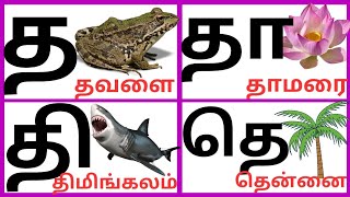 த வரிசை சொற்கள் | த தா தி தீ எழுத்து சொற்கள் | உயிர்மெய் எழுத்துக்கள் |  uyirmei ezhutthukkal#vowels