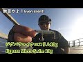 【終始 青物ナブラ】食わない⁉︎どう攻める？色んなルアーを投げた結果【huge baitball】brisbane fishing at woody point【sls 】shore jiggng