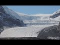 カナダ　コロンビア大氷原