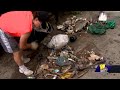 Volunteers travel from Florida to Baltimore to clean up dumped trash