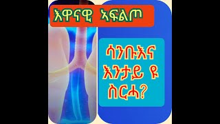 ሳንቡእ እንታይ ዩ ስርሓ?