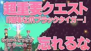 【ラテール】初心者ストッキングはお金稼ぎに超重要なアイテムです！忘れないで！【いちからこつこつラテール】#15