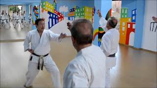 JKS GREECE SHIHAN YUTAKA KATSUMATA 8 DAN Teaching in  BUSHIDOKAN DOJO 2018