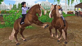 New Noriker Horses in Star Stable ( Buying All 7 )