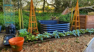 Vegetable Garden makeover! Allotment tour with commentary!