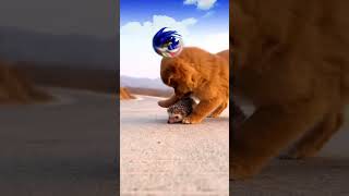 Sonic Saves A Hedgehog