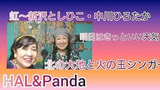 【虹🌈】  No.57  北の大地と火の玉シンガー HAL\u0026Panda