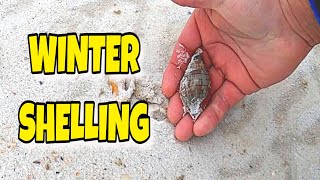 Winter SHELLING The EMERALD COAST Of Florida