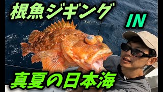 【スローピッチ】響灘で根魚釣行