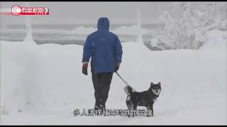 日本北部和西南部廣泛地區下雪 - 20201216 - 兩岸國際 - 有線新聞 CABLE News