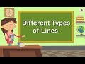 Different Types of Lines | Mathematics Grade 1 | Periwinkle