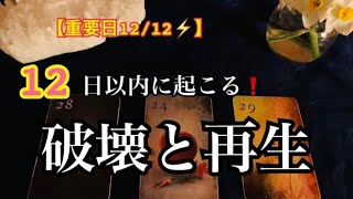 【重要日12/12⚡️】あなたに急いで伝えたい❗️１２日以内に起こる✨破壊と再生❤️【ルノルマンカードリーディング占い】恐ろしいほど当たる😱