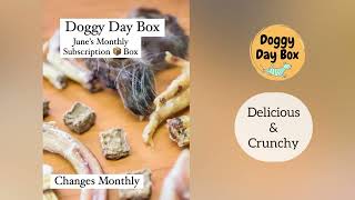 Awesome Monthly Dog Treat Subscription Box!