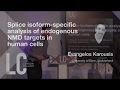 Splice isoform-specific analysis of endogenous NMD targets in human cells | Evangelos Karousis