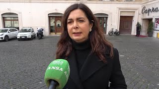 Starlink, Boldrini: \