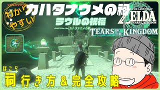 カタハナウメの祠（ラウルの祝福）の行き方＆完全攻略プレイ『大きなゾナウエネルギー』入手｜ゼルダの伝説 ティアキン