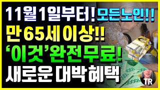 11월부터 만 65세이상 '이것' 완전 무료! 모든노인 새로운 대박 혜택! 모르면 나만손해! 신청해야 받아요!!