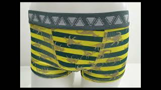 Growing Garments | Boy Stripe Allover Print Boxer Underwear, Custom Boy's Boxer Briefs Manufacturer