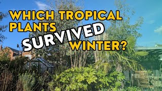 SHOCKING SURVIVORS! Tropical Plants That Beat the Frost 🌴❄️