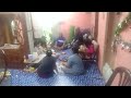 Team Abun Bilun di Sarawak berjumpa kembali di rumah Julan Family bersama juga Aya Kanowit