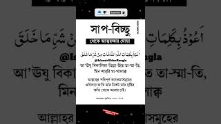 সাপ বিচ্ছু থেকে আত্মরক্ষার দোয়া বাংলা উচ্চারণ সহ | সাপ বিচ্ছু দোয়া | Islamic Video Bangla #shorts