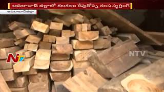 Police Arrested Illegal Teak Wood Exporting Gang in Adilabad | Teak Wood Exporting In Adilabad NTV