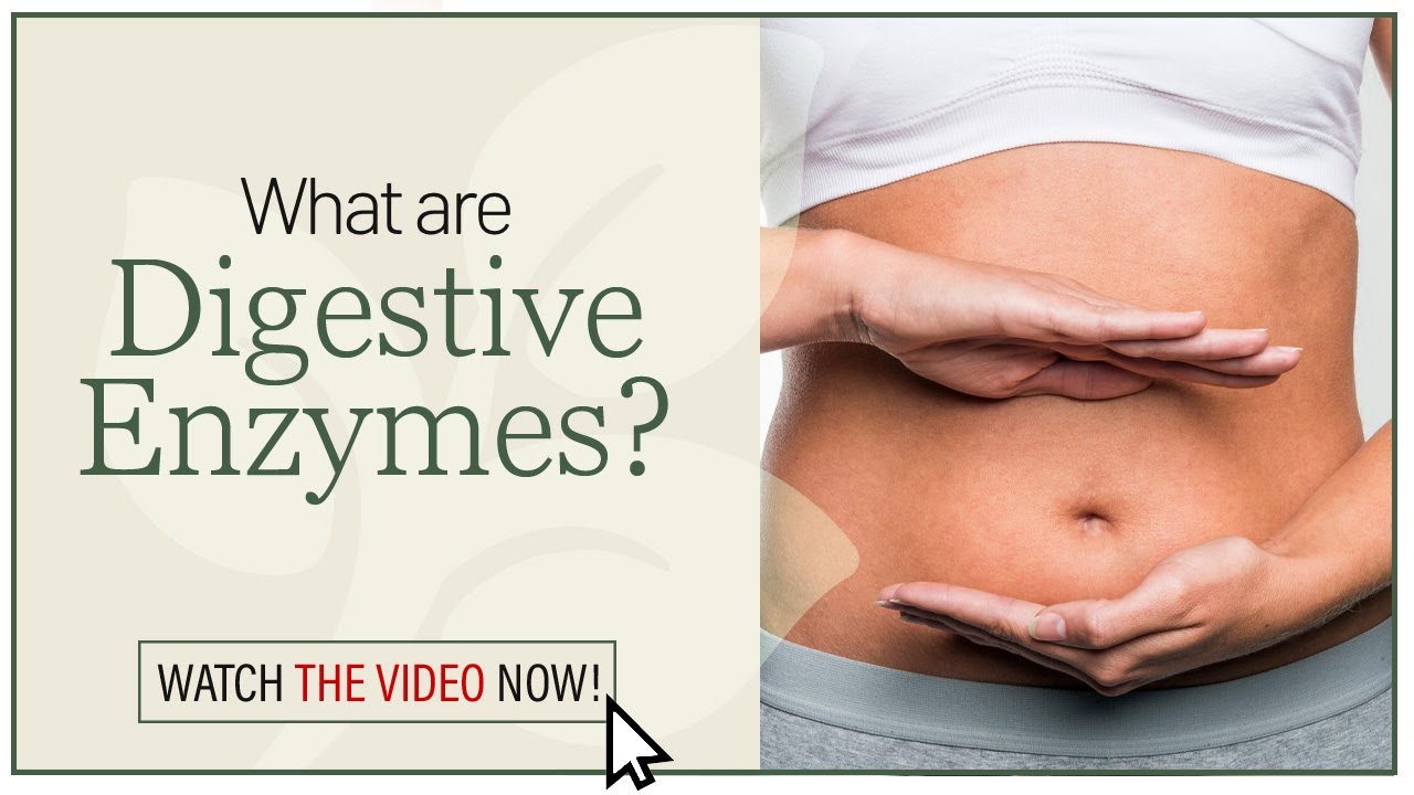 What Are Digestive Enzymes? - YouTube