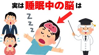 ９割が知らない睡眠に関する雑学