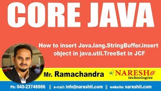 Core Java Tutorials | How to insert Java.lang.StringBuffer.insert object in java.util.TreeSet in JCF