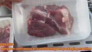 Fully Automatic Continuous MAP Packaging Machine for Meat Processing Plants