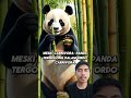 pecinta hewan panda liat ini - fakta unik seputar panda #faktaunik #pandalucu #animasi