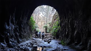 How was it like to drive to the Glow Worm Tunnel in Newnes? (4K available)