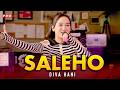 SALEHO - DIVA HANI (OFFICIAL MUSIC VIDEO)