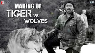 Tiger vs Wolves | Making of Tiger Zinda Hai | Salman Khan | Katrina Kaif | Ali Abbas Zafar