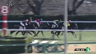 2025年1月13日中山6R 3歳未勝利　芝2200m カーミングライツ