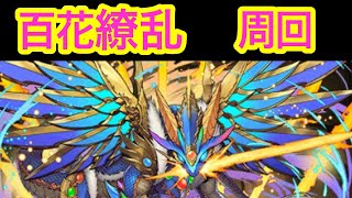 百花繚乱 チィリンドラゴン シェヘラザードドラゴン 周回 撫子