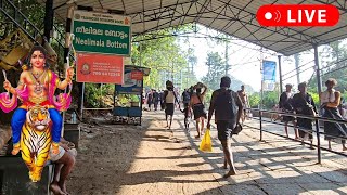 2/1/2025 🔴 Live சபரிமலை நீலிமலை நேரலை NEELIMALA View! Sabarimala Sannidhanam Devotees Crowd Today