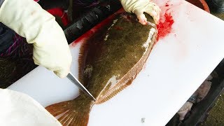 Fish Sashimi Master / Flatfish Sashimi, halibut sashimi, Seafood, Korea Fisheries Market, 4K