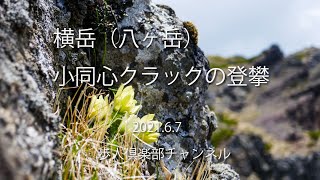 八ヶ岳小同心クラック登攀 ツクモグサを見ながら横岳へ　20210607