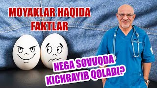 #254 NEGA SOVUQDA KICHRAYIB QOLADI. MOYAKLAR HAQIDA FAKTLAR