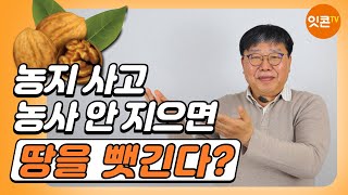 농지 투자에 꼭 호두나무를 심어야 하는 이유? 그리고 농지에 꼭 농사를 지어야 되는지... 토지투자 꿀팁 대방출 with 만사오케이님