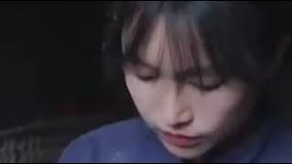 李子柒红油面皮Li Zi Qi